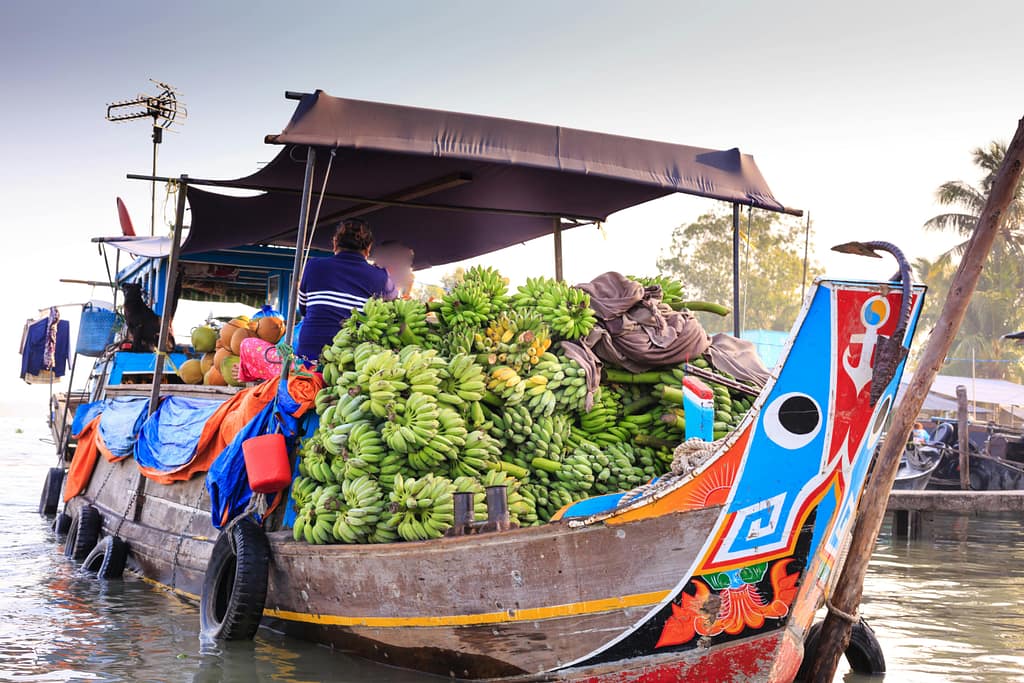 Colorful fruit vendor boat loaded with bananas at a Vietnamese floating market.