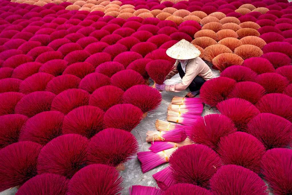 A worker arranges vibrant incense sticks drying outdoors in Hanoi, Vietnam.