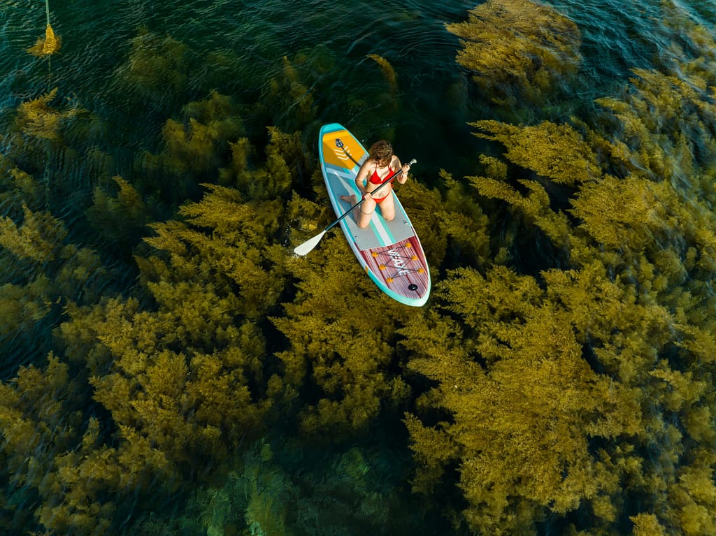 Woman paddleboarding over seaweed in clear waters of Quy Nhon, Vietnam.