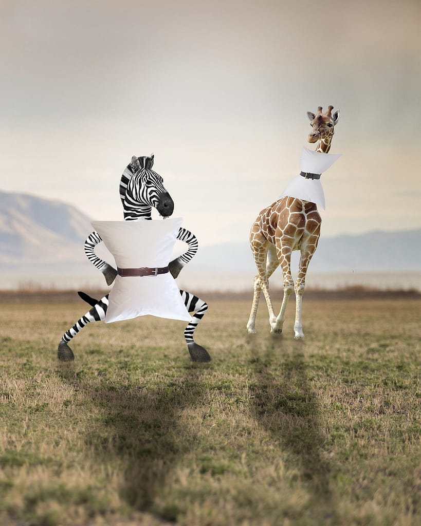 g72dd9e9d974e2b1249fd9062911779f392b29847c6d4c49e50583541c4ca5d905c19db519a1c8c455faf3db9efde81fb56286a622143c0220f77995c0c70d106_1280-5128388 zebra, giraffe, pillow, africa, zebra, zebra, zebra, giraffe, giraffe, giraffe, pillow, pillow, pillow, pillow, pillow